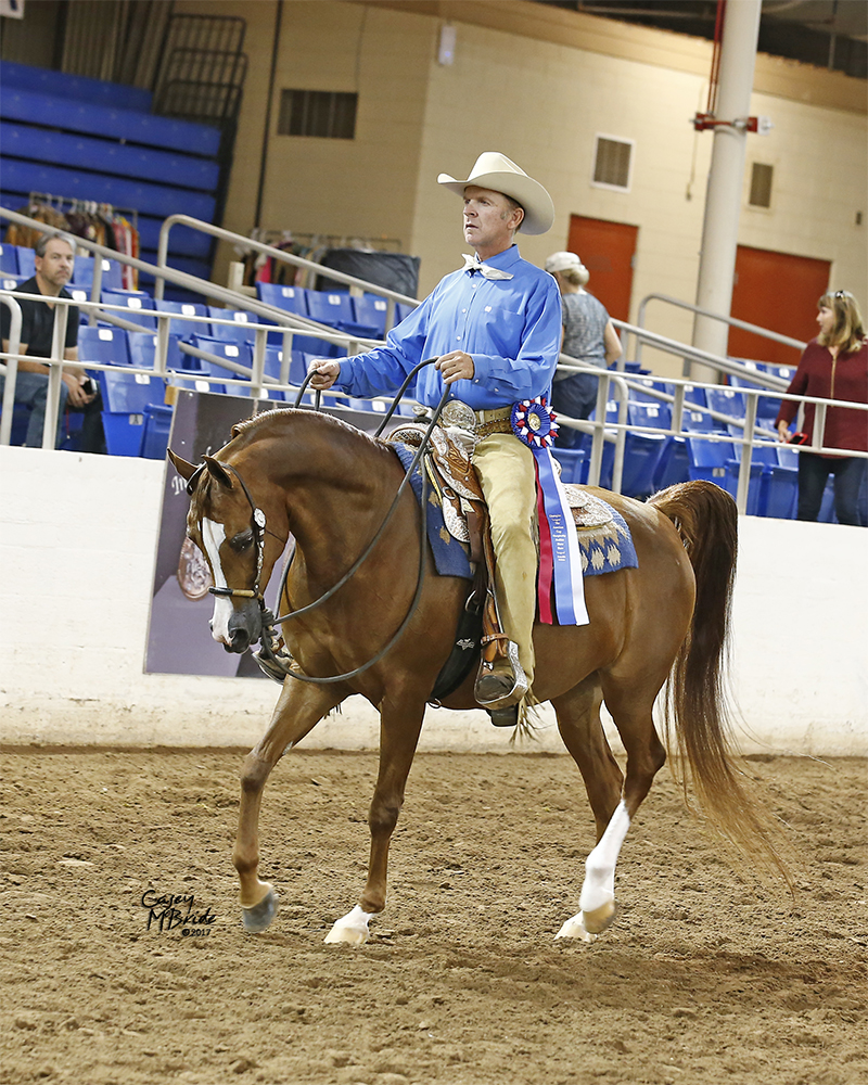Culbreth Equine